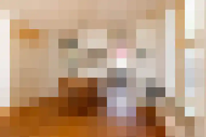 Edzemaheerd 38 Groningen thumbnail 12