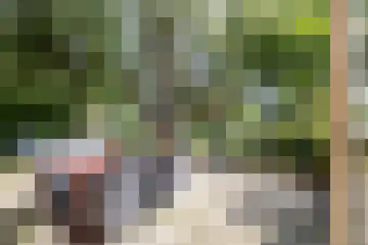 Edzemaheerd 38 Groningen thumbnail 16