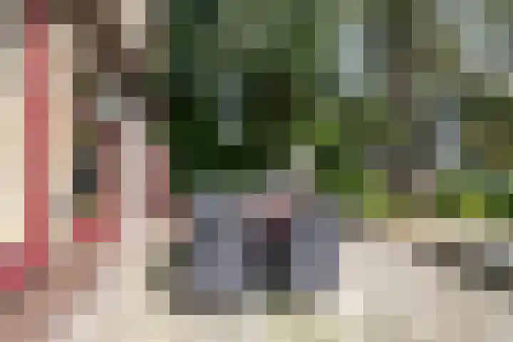 Edzemaheerd 38 Groningen thumbnail 17