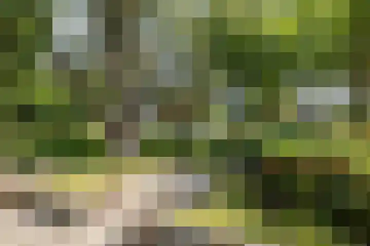 Edzemaheerd 38 Groningen thumbnail 18