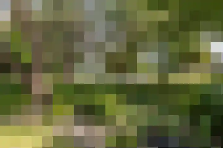 Edzemaheerd 38 Groningen thumbnail 19