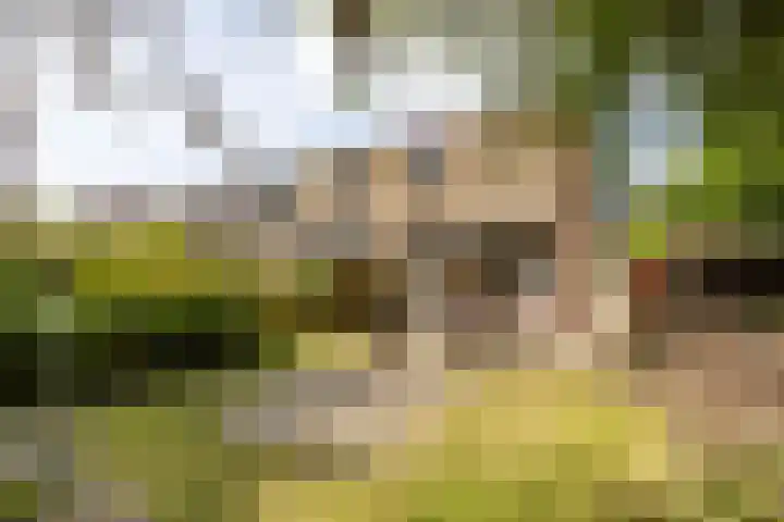 Edzemaheerd 38 Groningen thumbnail 20