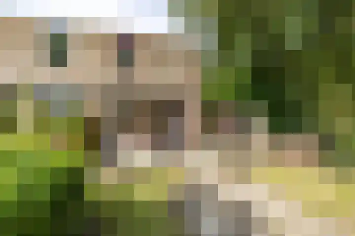 Edzemaheerd 38 Groningen thumbnail 21