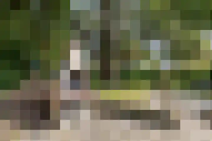 Edzemaheerd 38 Groningen thumbnail 22