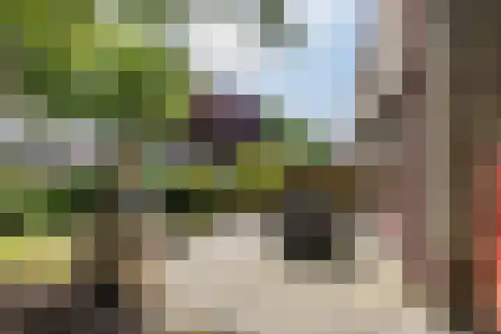 Edzemaheerd 38 Groningen thumbnail 23