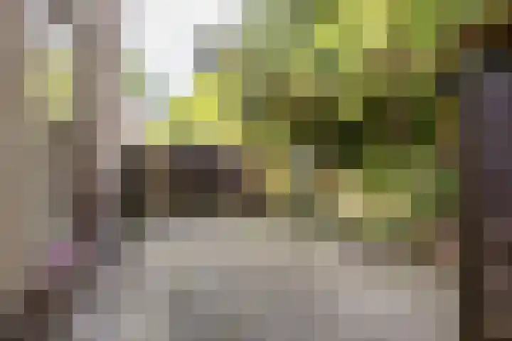 Edzemaheerd 38 Groningen thumbnail 24