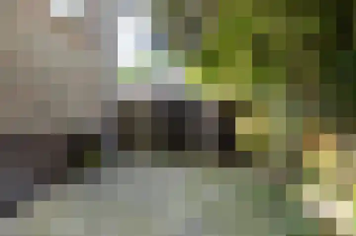 Edzemaheerd 38 Groningen thumbnail 25