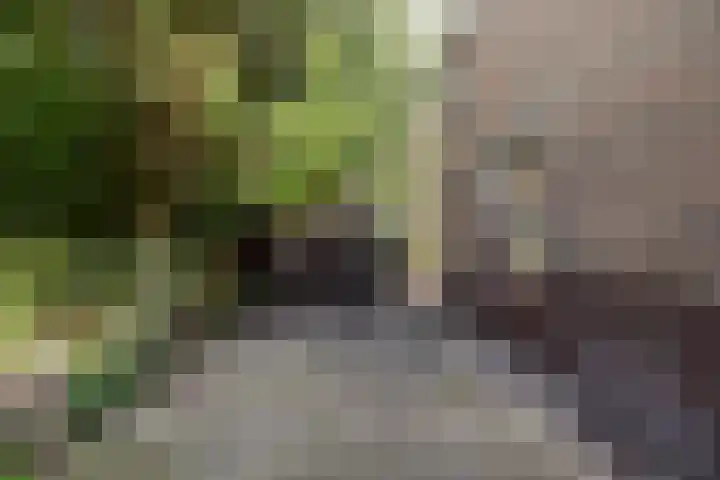 Edzemaheerd 38 Groningen thumbnail 26