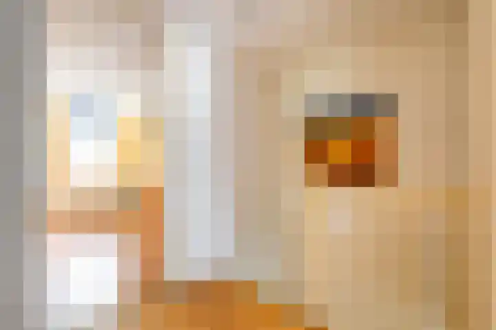 Edzemaheerd 38 Groningen thumbnail 31