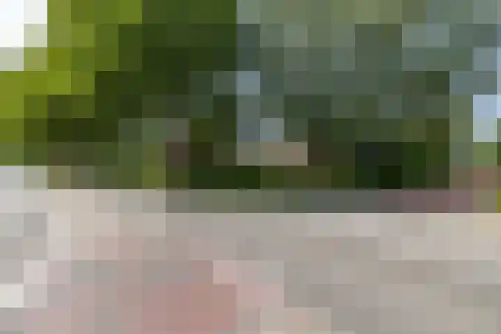 Edzemaheerd 38 Groningen thumbnail 38