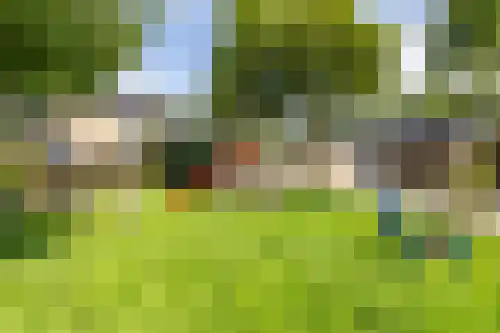 Edzemaheerd 38 Groningen thumbnail 40
