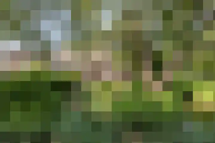 Edzemaheerd 38 Groningen thumbnail 48
