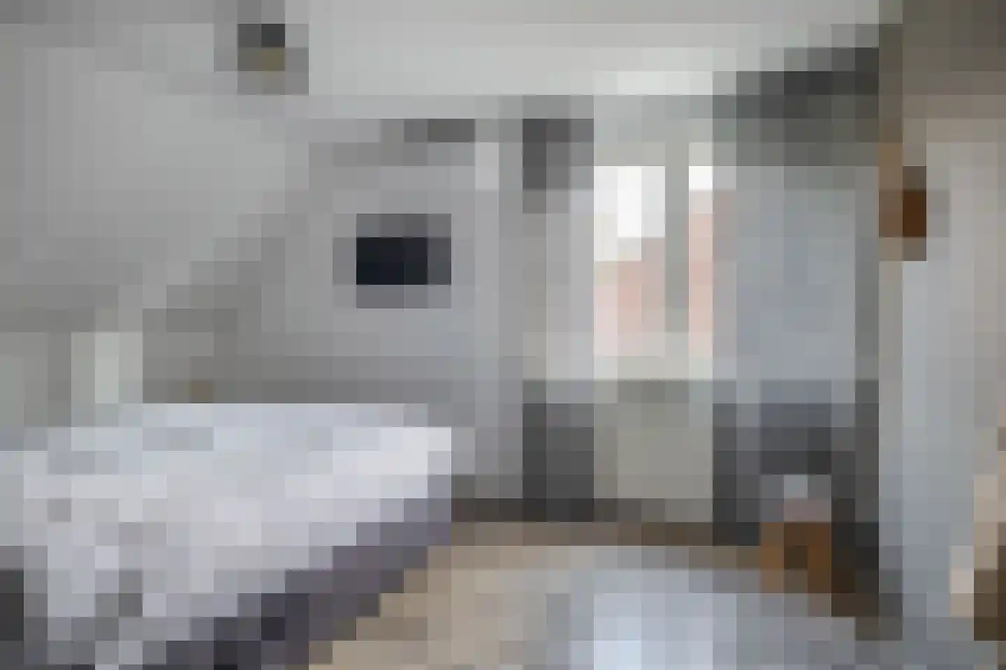 Eechofstraat 15 Helmond thumbnail 24