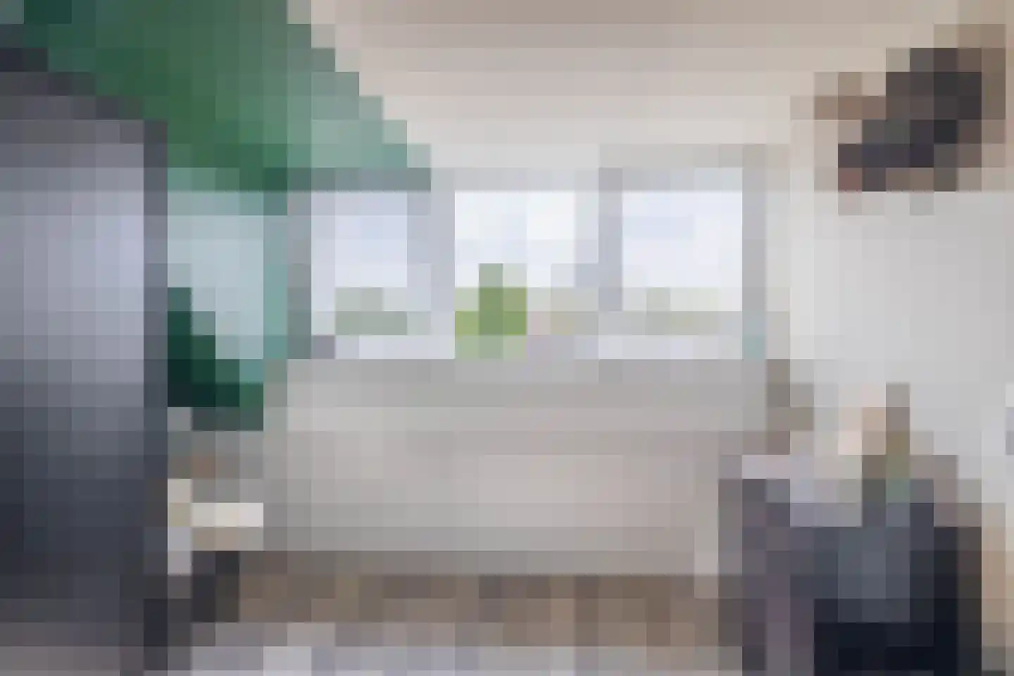 Eechofstraat 15 Helmond thumbnail 36