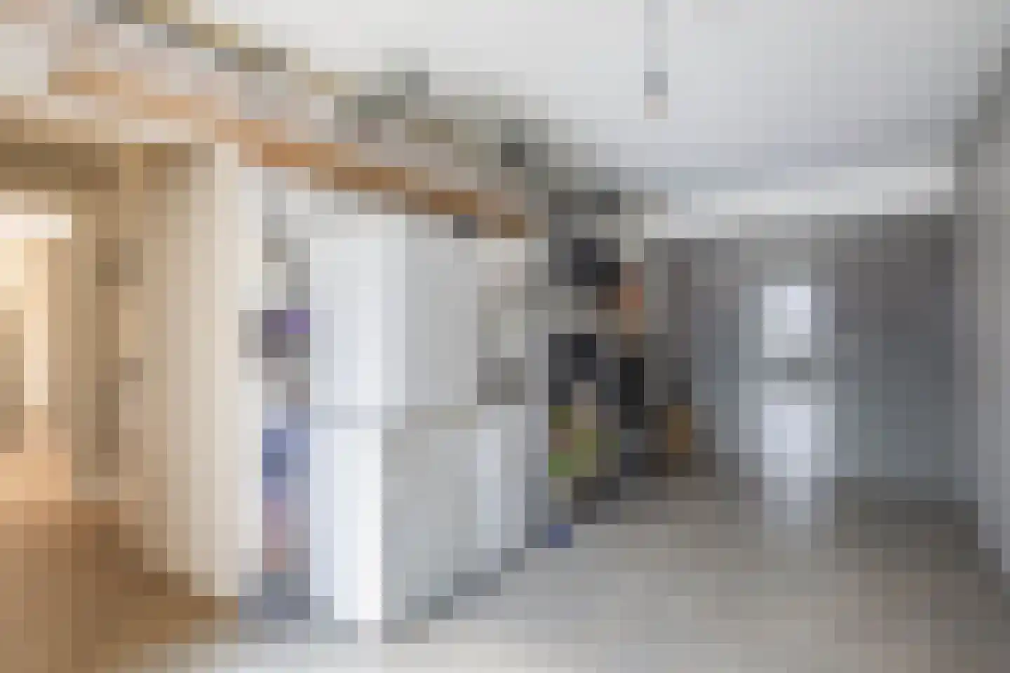 Eechofstraat 15 Helmond thumbnail 38