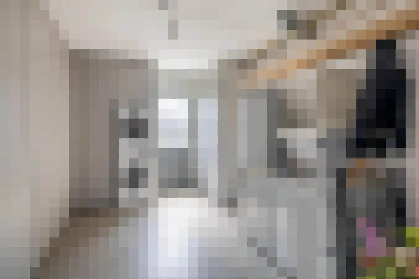 Eechofstraat 15 Helmond thumbnail 39