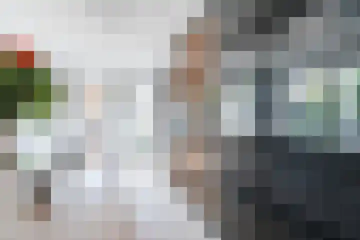 Eeckelbosstraat 28 Goirle thumbnail 10