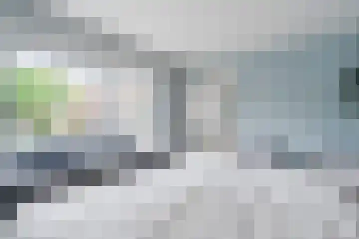 Eeckelbosstraat 28 Goirle thumbnail 19
