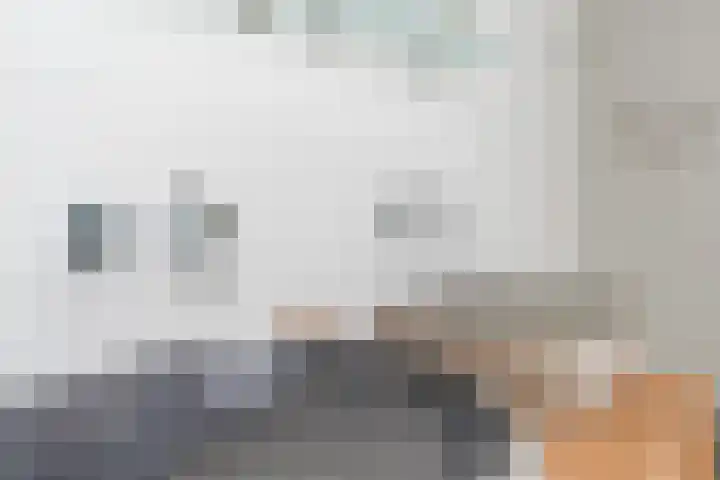 Eeckelbosstraat 28 Goirle thumbnail 37