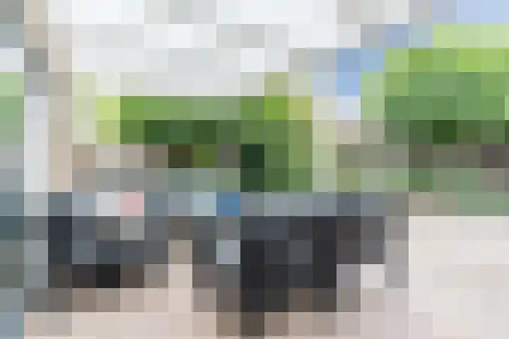 Eeckelbosstraat 28 Goirle thumbnail 40