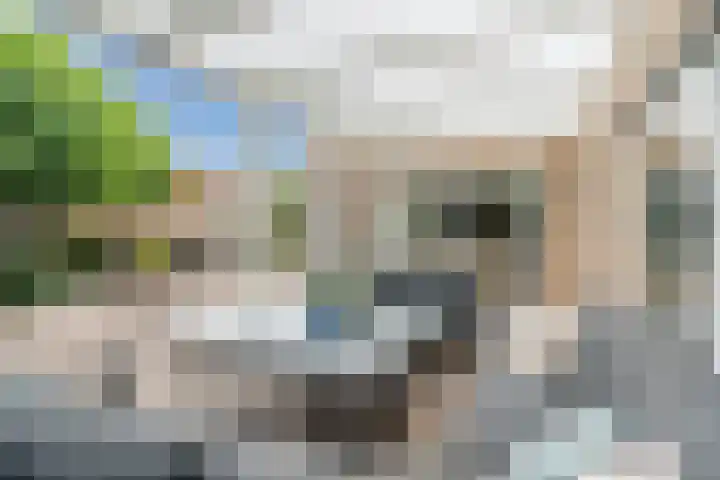 Eeckelbosstraat 28 Goirle thumbnail 42