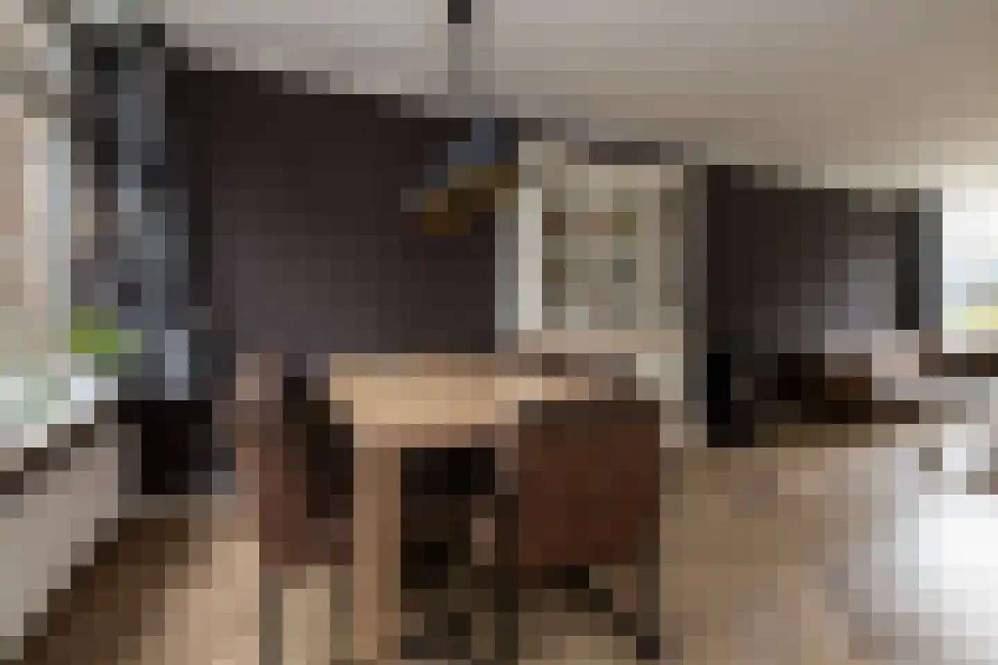Eeckelhagen 14 Nunspeet thumbnail 14