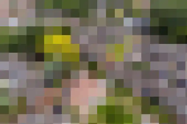Eeckelhagen 86 Nunspeet thumbnail 32