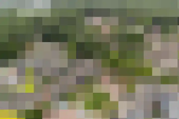 Eeckelhagen 86 Nunspeet thumbnail 34