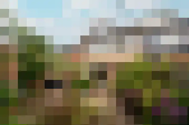 Eeckelhagen 86 Nunspeet thumbnail 5