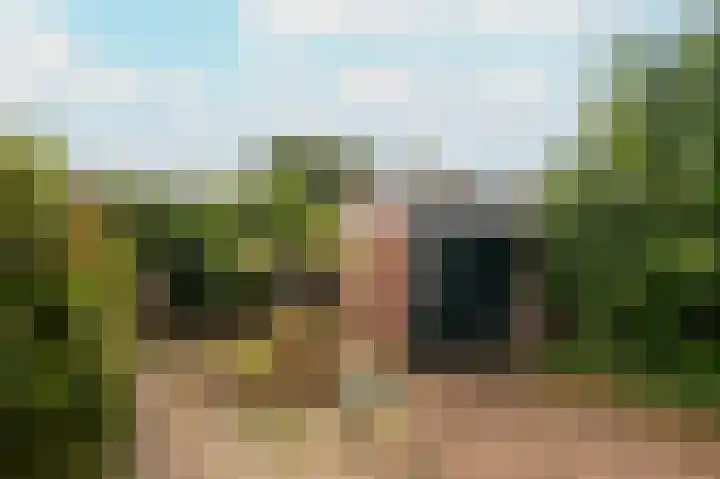 Eeckelhagen 86 Nunspeet thumbnail 6