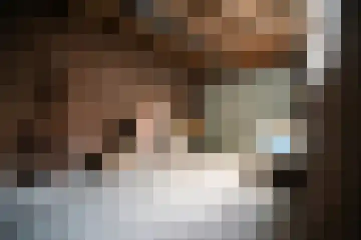 Eeckelhagen 86 Nunspeet thumbnail 7