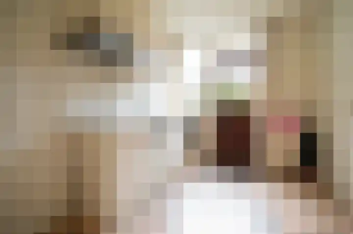 Eeckelhagen 86 Nunspeet thumbnail 9