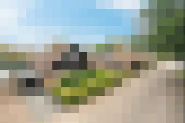 Eeckelhagen 9 Nunspeet thumbnail 11