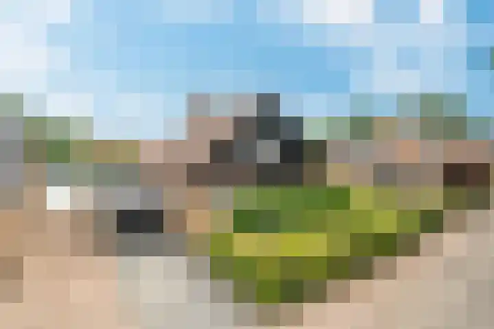 Eeckelhagen 9 Nunspeet thumbnail 12