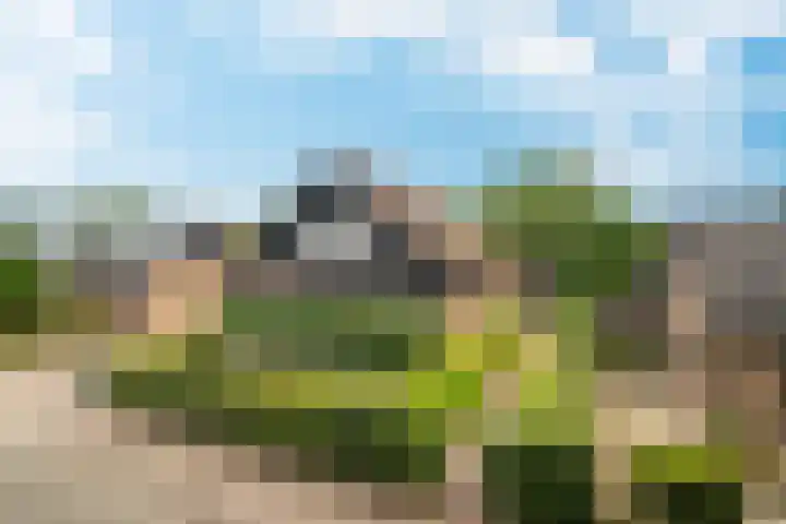Eeckelhagen 9 Nunspeet thumbnail 14