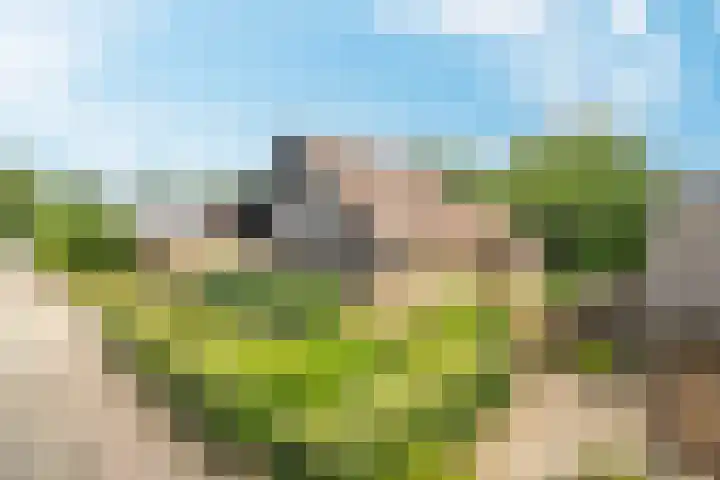Eeckelhagen 9 Nunspeet thumbnail 15