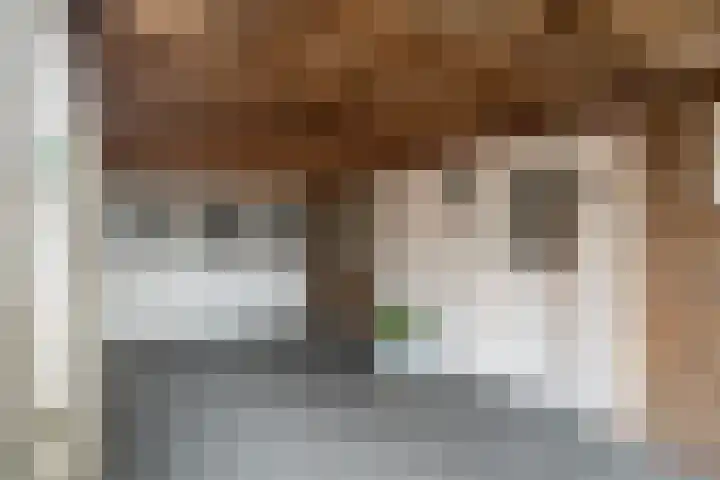 Eeckelhagen 9 Nunspeet thumbnail 17