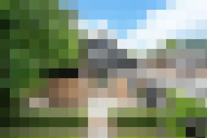 Eeckelhagen 9 Nunspeet thumbnail 61