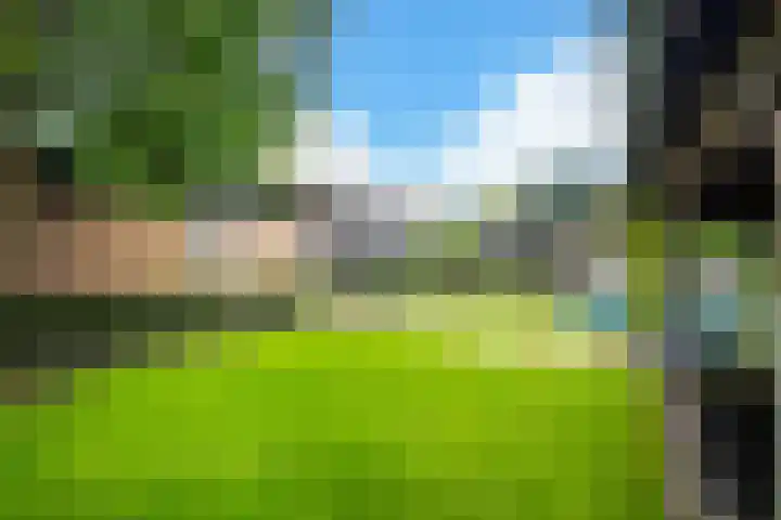 Eeckelhagen 9 Nunspeet thumbnail 62