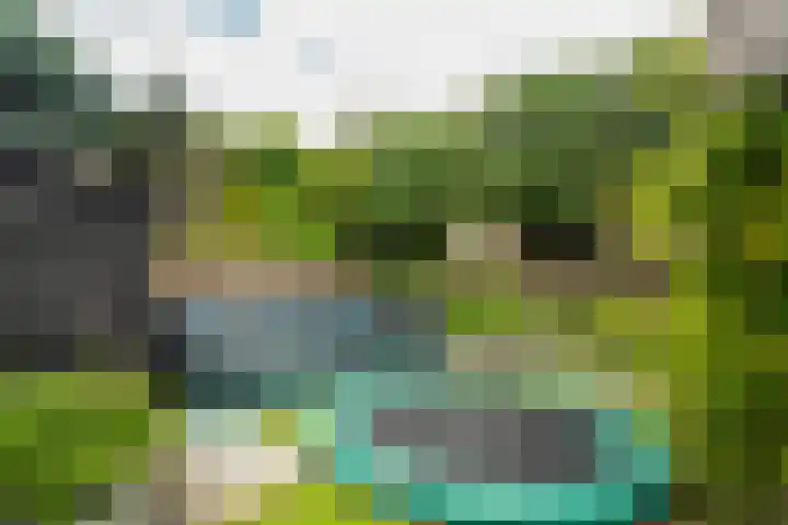 Eeckelhagen 9 Nunspeet thumbnail 63