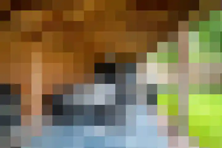 Eeckelhagen 9 Nunspeet thumbnail 64