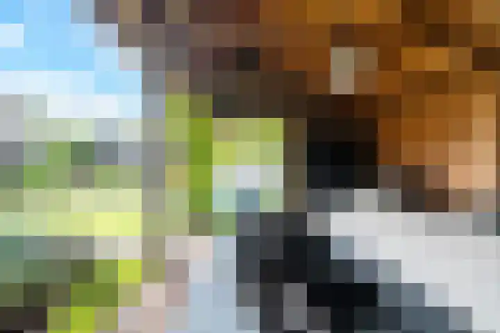 Eeckelhagen 9 Nunspeet thumbnail 65