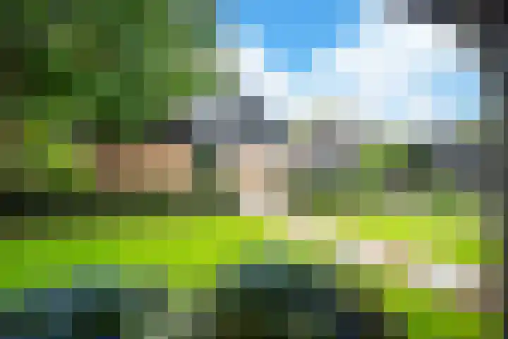 Eeckelhagen 9 Nunspeet thumbnail 66