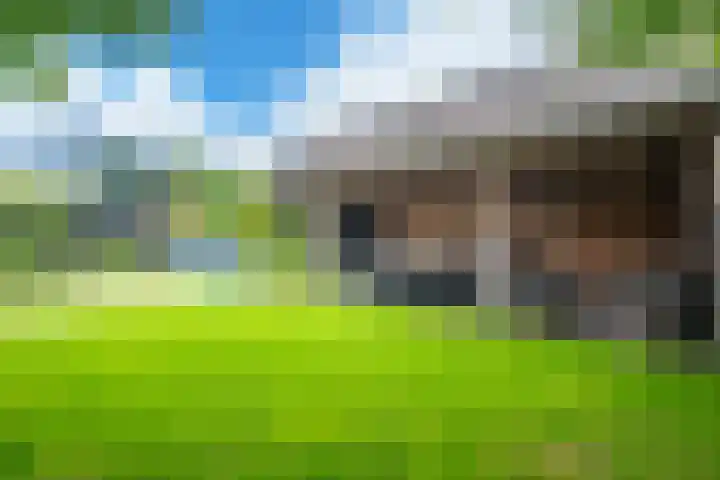 Eeckelhagen 9 Nunspeet thumbnail 68