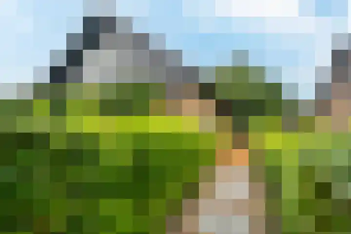 Eeckelhagen 9 Nunspeet thumbnail 7