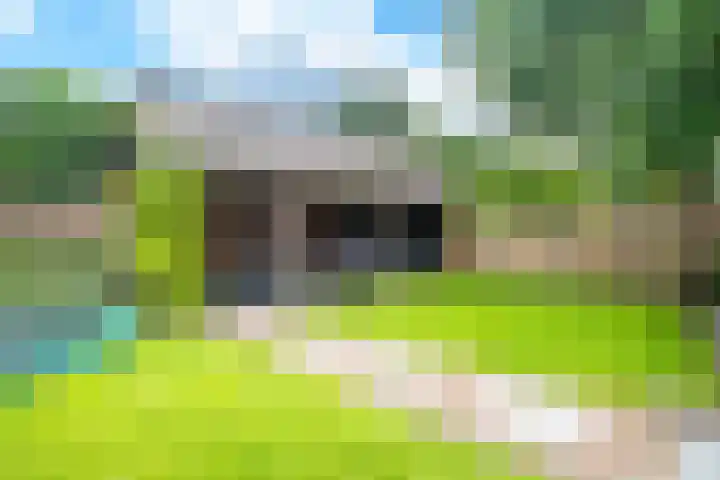 Eeckelhagen 9 Nunspeet thumbnail 71