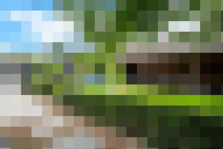 Eeckelhagen 9 Nunspeet thumbnail 72