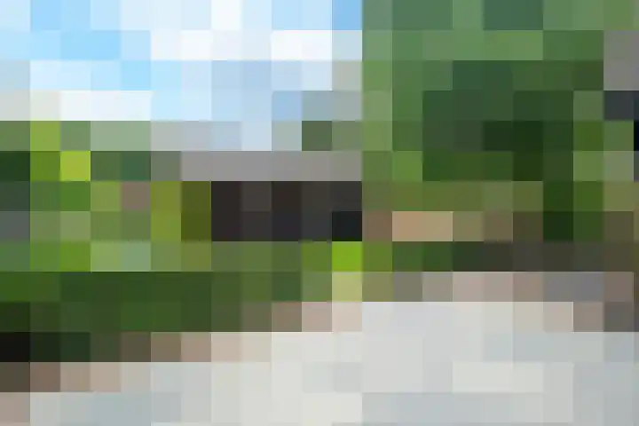 Eeckelhagen 9 Nunspeet thumbnail 76