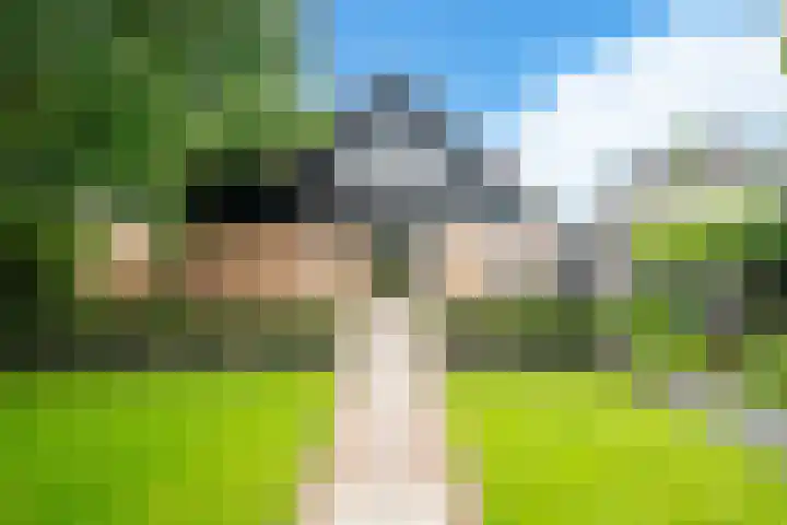 Eeckelhagen 9 Nunspeet thumbnail 77