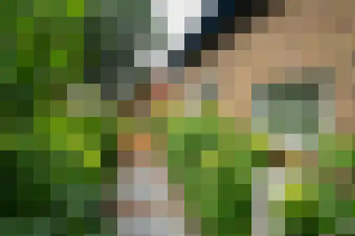 Eeckelhagen 9 Nunspeet thumbnail 79